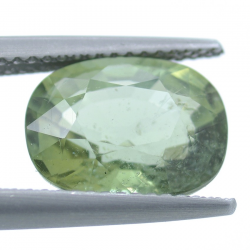 3.34 ct Apatito Verde Talla Ovalada