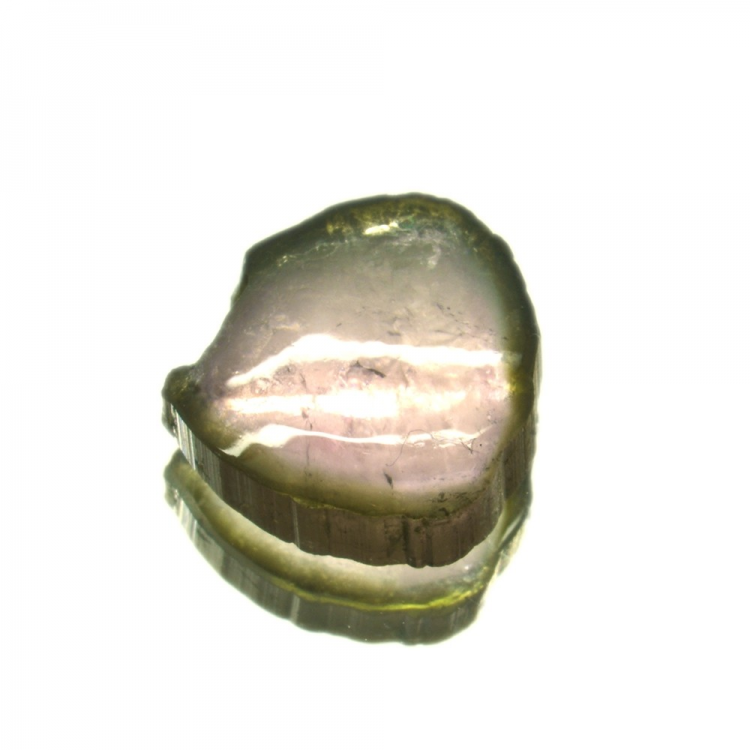 6.55ct Wassermelonen-Turmalin Scheibe