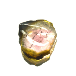 2.68ct Turmalina Sandía Corte en Lasca 13,25x11,72mm