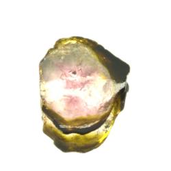 2.68ct Pastèque Tourmaline Tranche