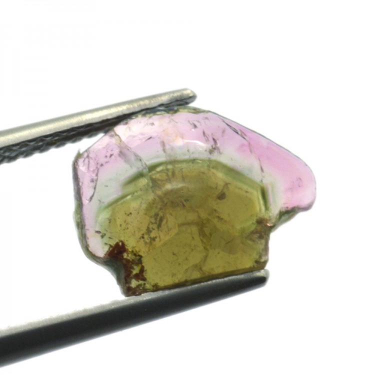 2.69ct Watermelon Tourmaline Slice Cut