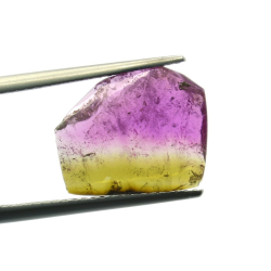 4.39ct Watermelon Tourmaline Slice Cut