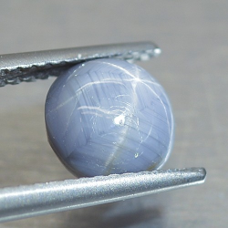 2.44ct Saphir Étoilé Cabochon Ronde 7,31x7,00mm