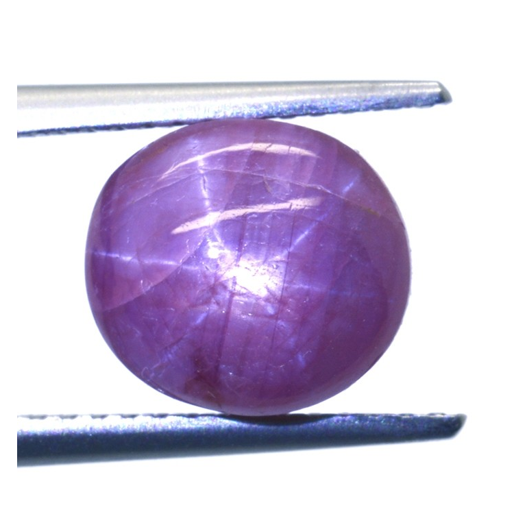 6.57ct Rubis Étoilé Cabochon Ovale