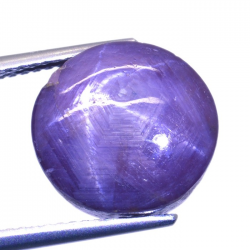 12.91ct Rubis Étoilé Cabochon Rond