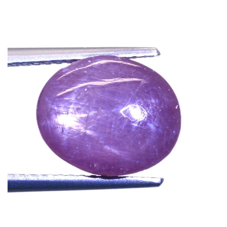 7.72ct Rubis Étoilé Cabochon Ovale