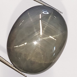 52.56ct Saphir Étoilé Cabochon Ovale