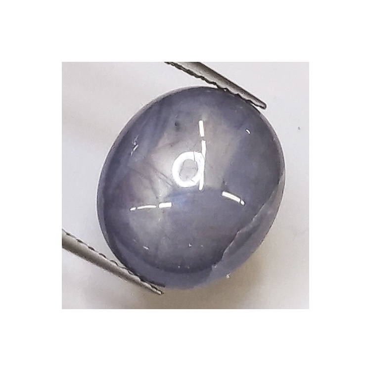 10.64ct Saphir Étoilé Cabochon Ovale