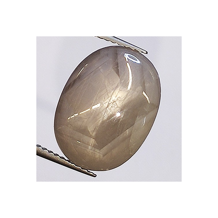 14.46ct Zafiro Estrella Cabujon Oval