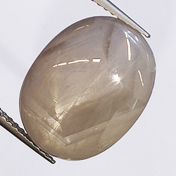 14.46ct Zafiro Estrella Cabujon Oval