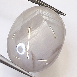 14.46ct Saphir Étoilé Cabochon Ovale