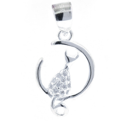 Colgante Gato y Luna de Circonitas y Plata 925