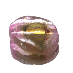 6,00 ct. Wassermelonen-Turmalin-Scheibenschliff 13,90 x 10,78 mm