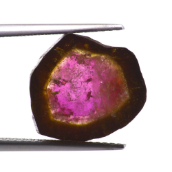 8.17ct.Watermelon Tourmaline Slice Cut 13.07x12.91mm