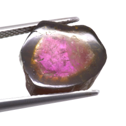 8,17 ct. Wassermelonen-Turmalin-Scheibenschliff 13,07 x 12,91 mm