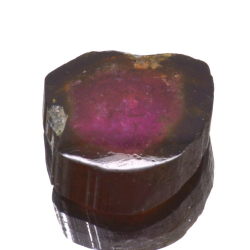 8.17ct.Tourmaline Pastèque Tranche Coupée 13.07x12.91mm