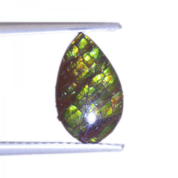 2,19ct.Ammolite Pear Cabochon Cut