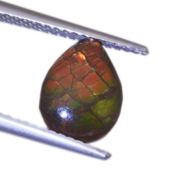 1,27ct.Ammolite Cabochon Pear Cut