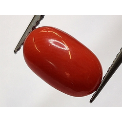 2.32ct Coral Rojo Cabujón Oval