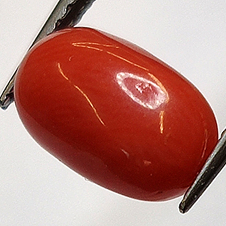 2.32ct Coral Rojo Cabujón Oval