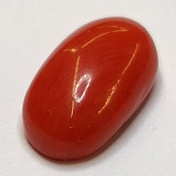 2.32ct Coral Rojo Cabujón Oval