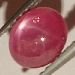 1.93ct Rubis Étoilé cabochon ovale 7x6mm