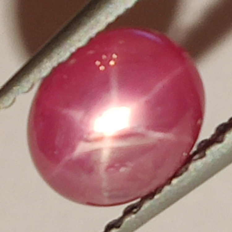 1.93ct Rubino stella cabochon ovale 7x6mm