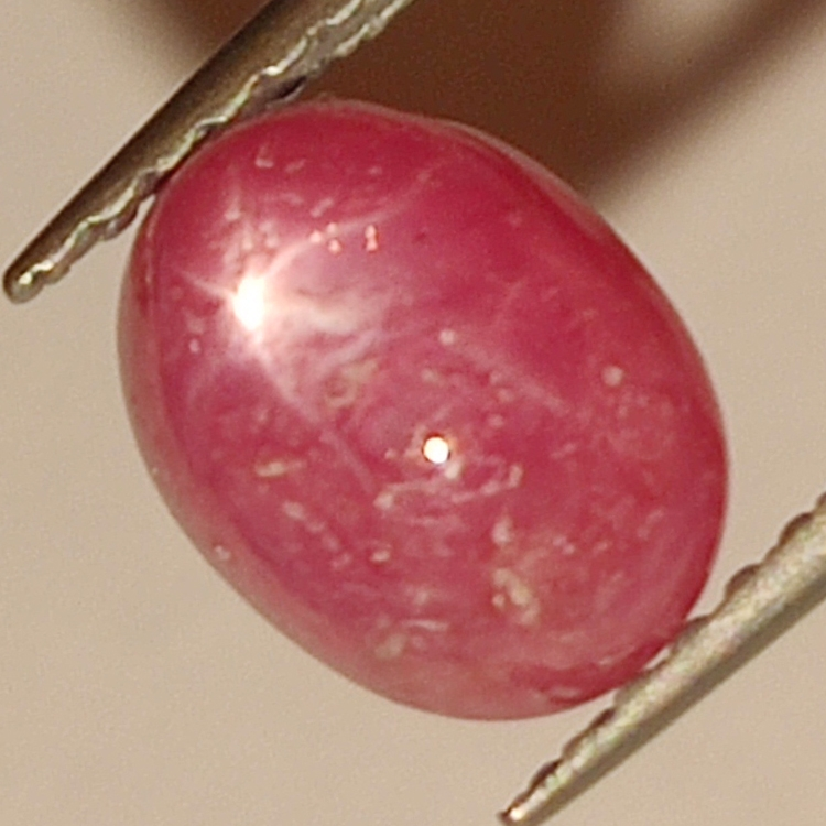 1.93ct Rubis Étoilé cabochon ovale 7x5mm