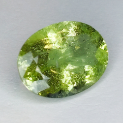 7.62ct Aguamarina Verde Talla Oval 15.80 x 11.46 x 7.15 mm