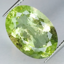 7.62ct Aquamarine Green Oval Cut 15.80 x 11.46 x 7.15 mm