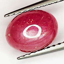 2.60ct Rubis Étoilé cabochon ovale 8.0x6.0mm