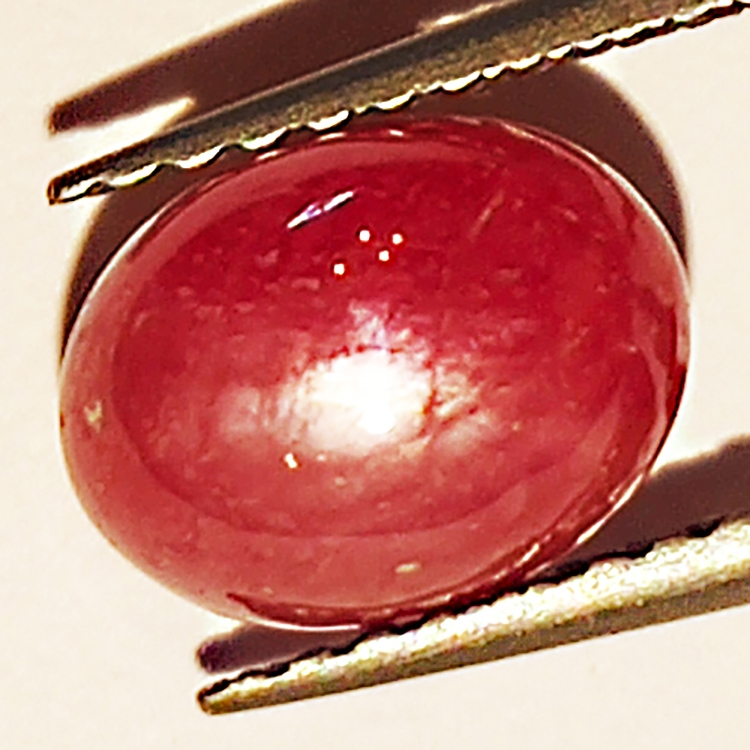 2.60ct Ruby Star cabochon oval 8.0x6.0mm