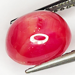 3.20ct Rubis Étoilé cabochon ovale 8.2x6.5mm