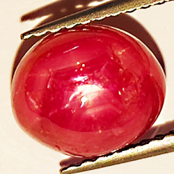 3.86ct Ruby Star cabochon oval 8.5x7.1mm