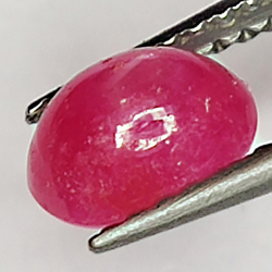 1.28ct Rubis Étoilé cabochon ovale 6.6x4.9mm