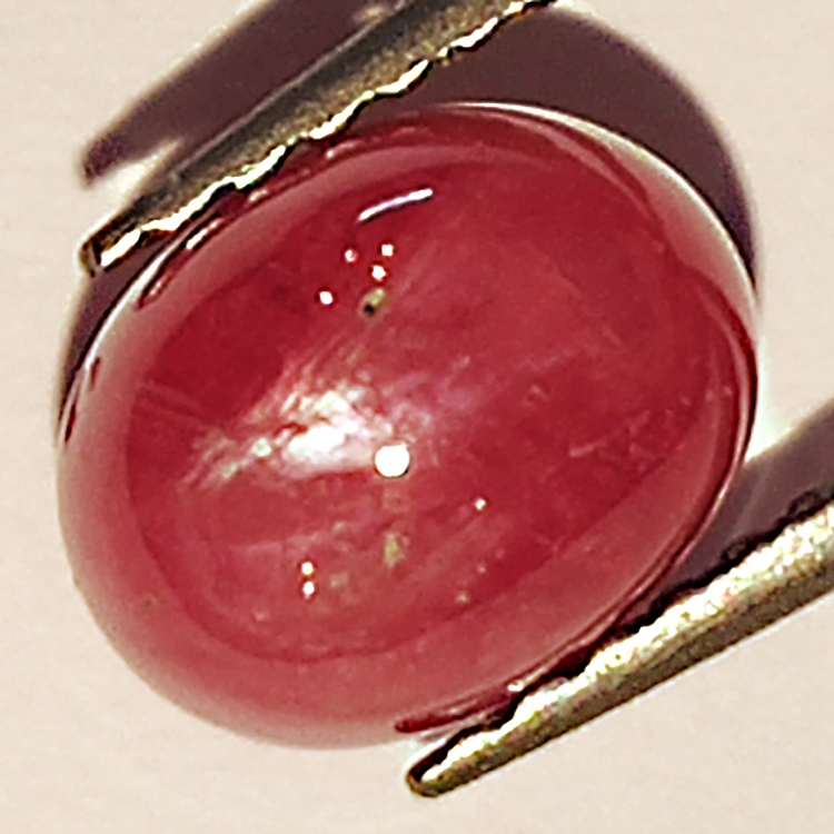 2.07ct Rubis Étoilé cabochon ovale 7.3x5.7mm