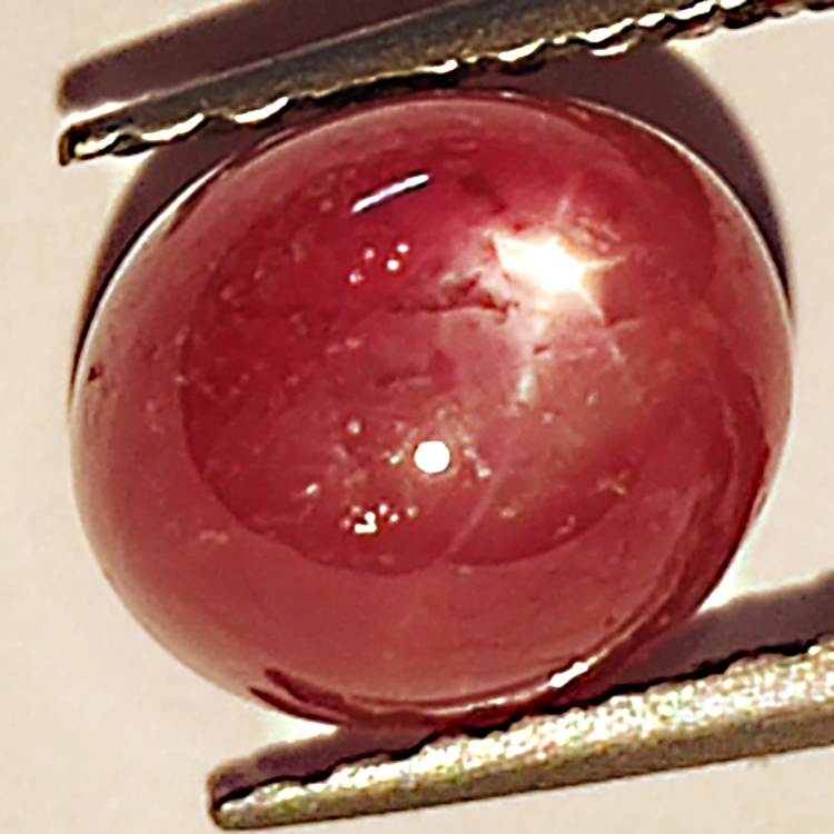 2.49ct Rubis Étoilé cabochon ovale 6.9x6.0mm