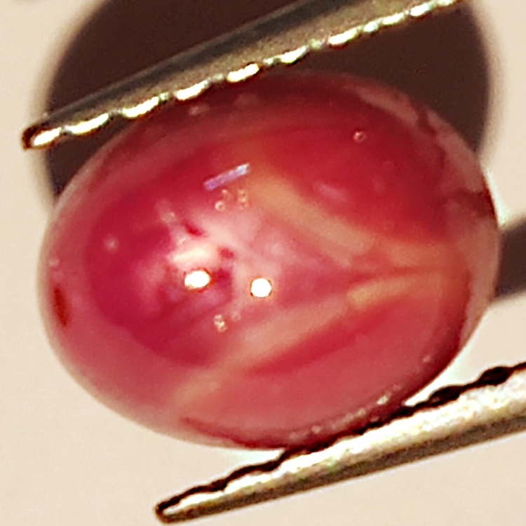 2.39ct Rubis Étoilé cabochon ovale 7.2x5.7mm