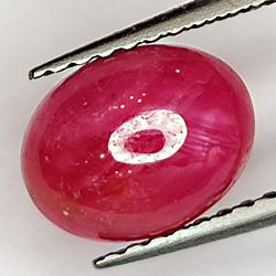 2.26ct Rubis Étoilé cabochon ovale 8.3x6.4mm