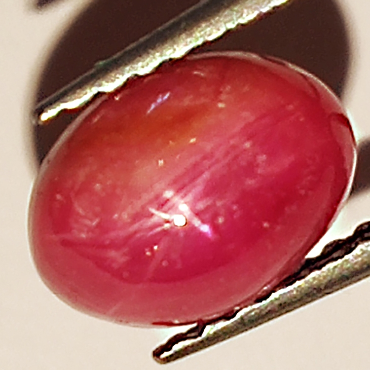 2.20ct Ruby Star cabochon oval 7.8x5.7mm