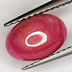 2.28ct Rubis Étoilé cabochon ovale 8.6x5.9mm