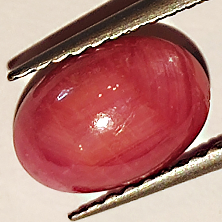 2.28ct Rubis Étoilé cabochon ovale 8.6x5.9mm