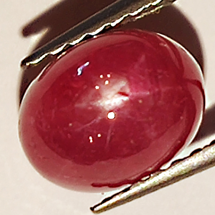 2.54ct Ruby Star cabochon oval 7.4x5.7mm