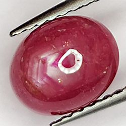 2.86ct Rubis Étoilé cabochon ovale 8.1x6.4mm