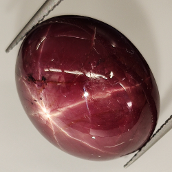 30.64ct Saphir Étoile Violet cabochon ovale 18.3x15.0mm