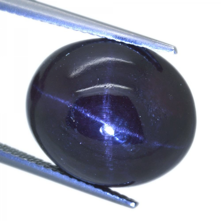 24,10ct.Star Garnet Cabochon Oval Cut