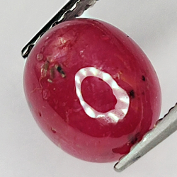 2.44ct Ruby Star cabochon oval 7.8x6.6mm