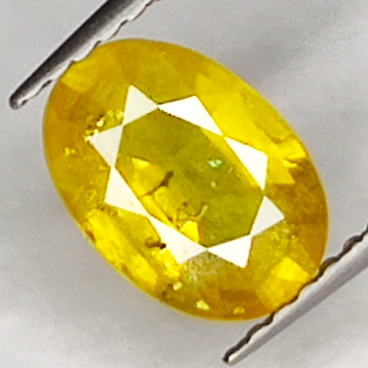 1.48ct Saphir Jaune coupe ovale 8.3x5.8mm