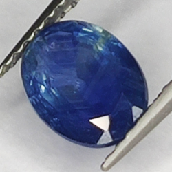 1.30ct Blue Sapphire coupe ovale 7.8x5.9mm