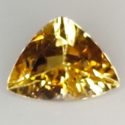 1.64ct Champagner-Topas trillantschliff 9.4x7.1mm